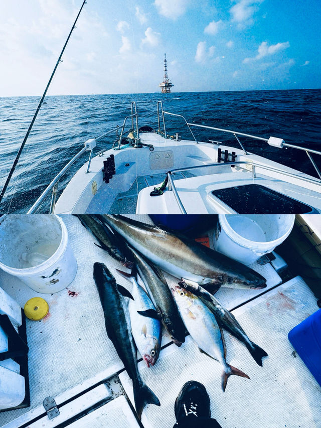 舟山海釣體驗分享，出海釣魚避雷