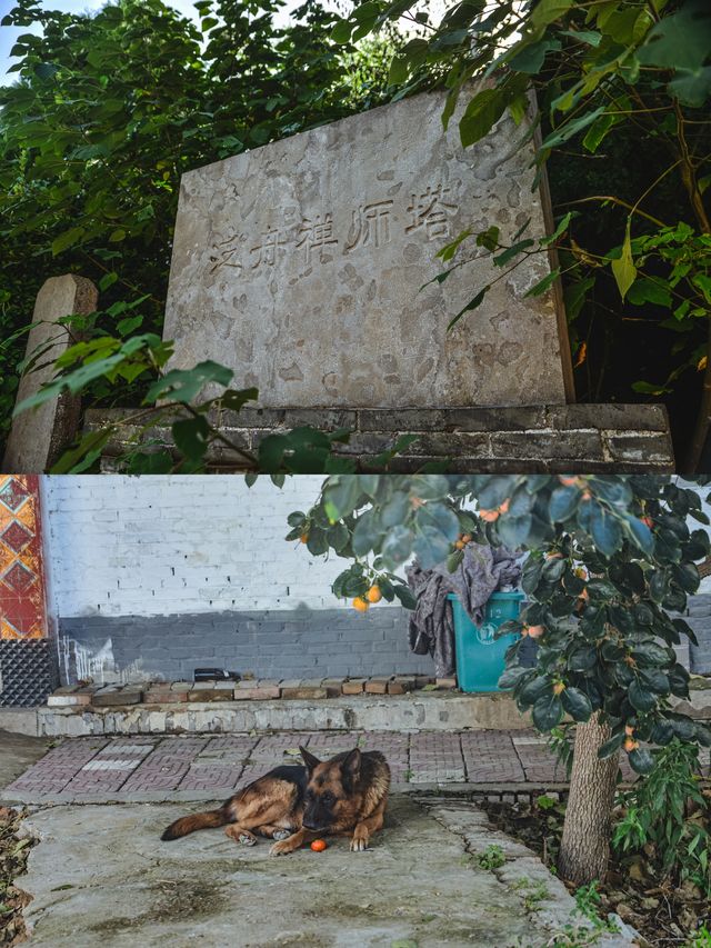 這座1200年的古塔，治癒了我的精神內耗