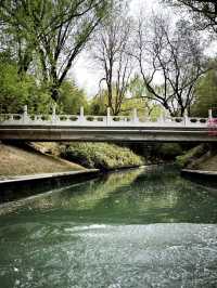 Imperial river cruise 