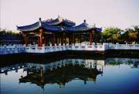 挑戰一星期遊一個公園-龍園