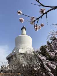 必看！北京北海公園超詳細遊玩攻略