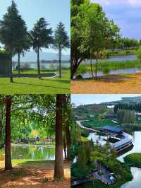 昆明寶豐濕地公園：滇池之畔的生態畫卷