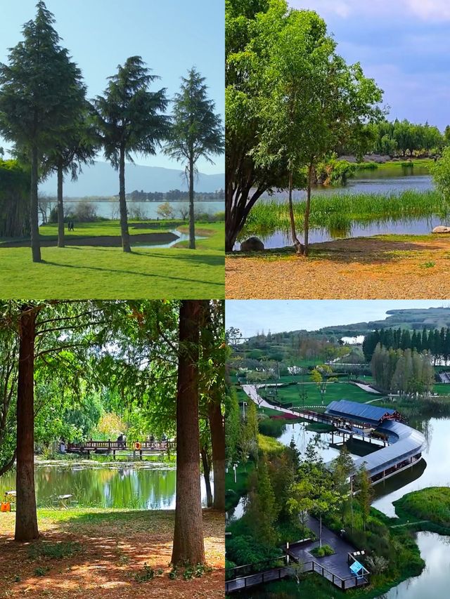 昆明寶豐濕地公園：滇池之畔的生態畫卷