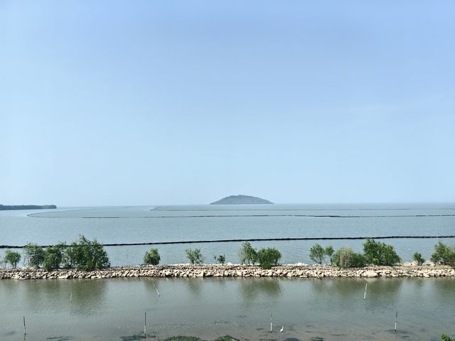 環遊巢湖