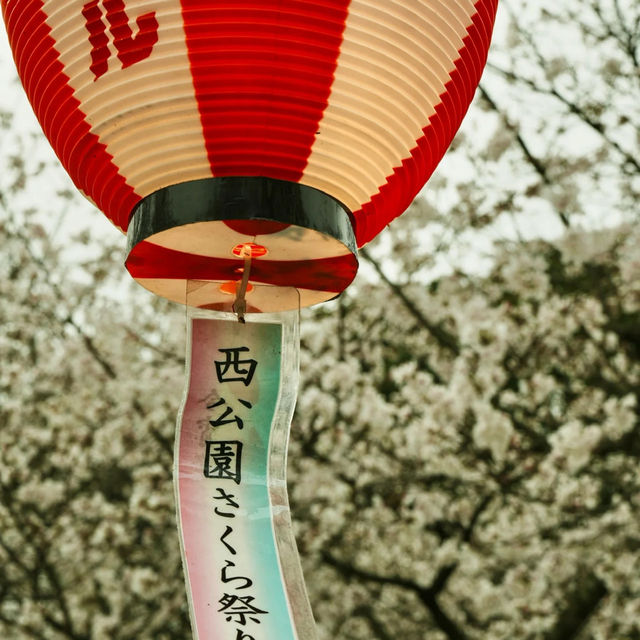⛩️【福岡光雲神社｜被兔子與繪馬治癒的森系小秘境】