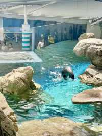 水族館的奇幻與麗嘉的優雅