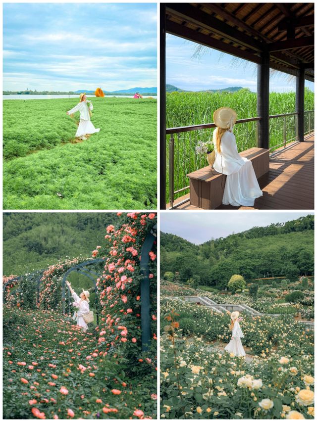 水鄉×圍屋｜烏鎮&贛南暴走指南
