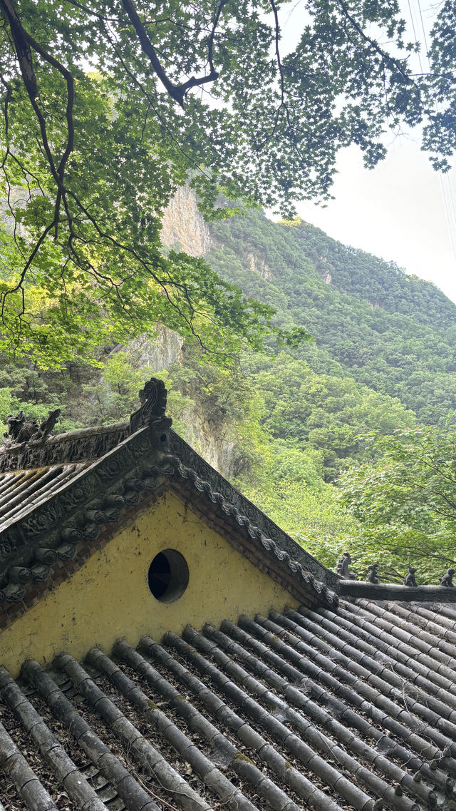 洛陽旅遊攻略