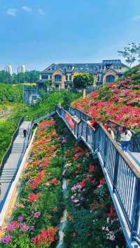 《深圳玉龍公園：一個令導航崩潰、讓打工仔回血嘅神秘結界》