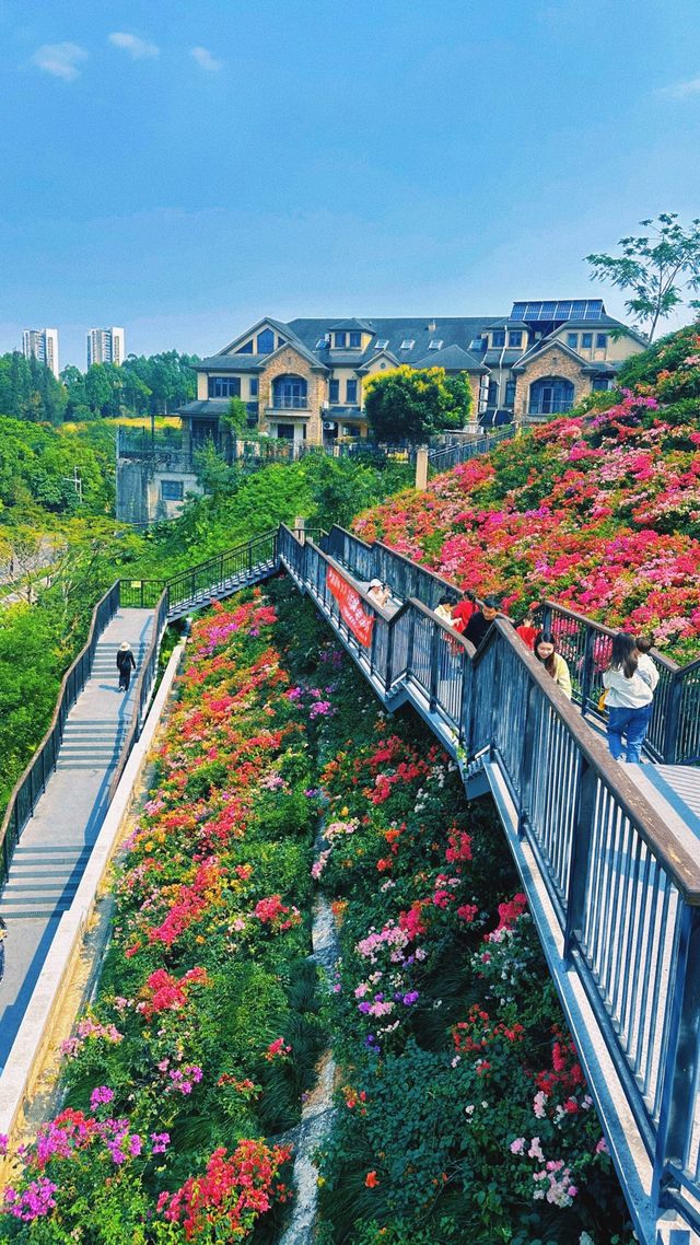 《深圳玉龍公園：一個令導航崩潰、讓打工仔回血嘅神秘結界》