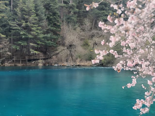 阿壩2日遊 藏族羌族風情一網打盡