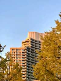 東京出光美術館交通攻略：輕鬆抵達藝術殿堂  