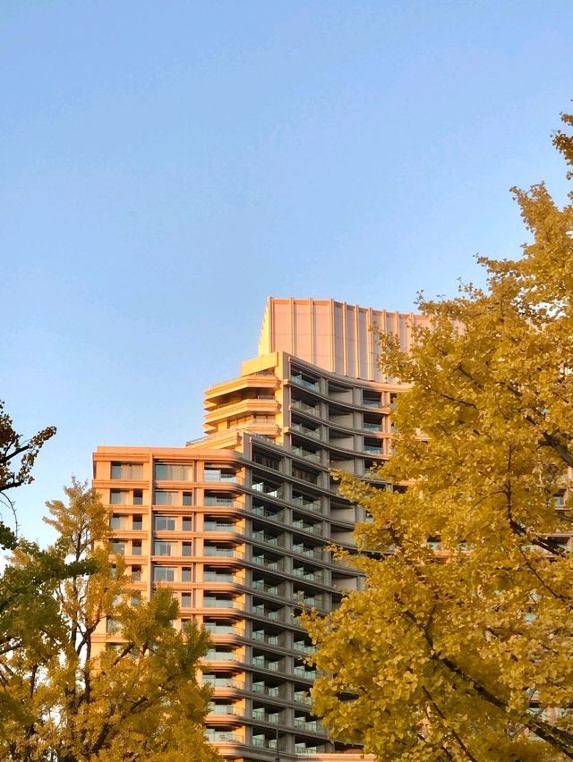 東京出光美術館交通攻略：輕鬆抵達藝術殿堂  