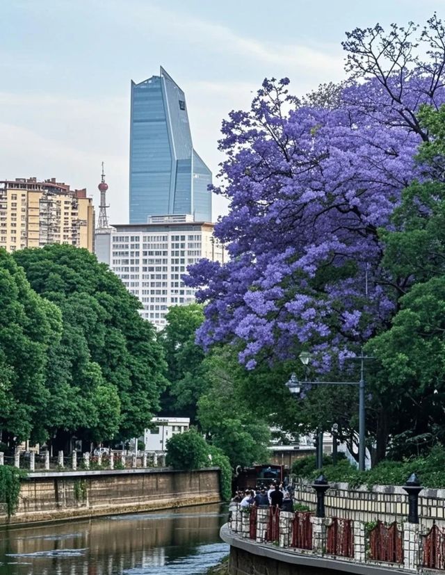 昆明之旅：春城嘅浪漫與煙火