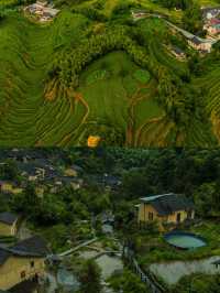 雲和梯田：喺山水間繪就嘅金色畫卷