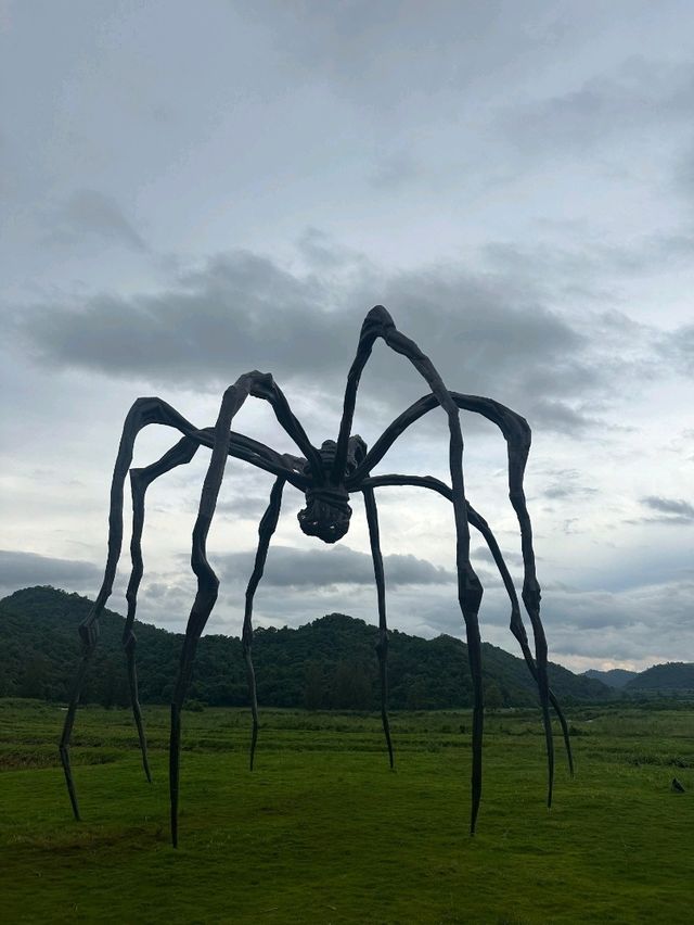 泰國Khao Yai Art Forest交通攻略｜探秘森林藝術秘境