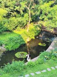 初夏誤入莫奈花園 江浙滬最美湖畔花園溯溪