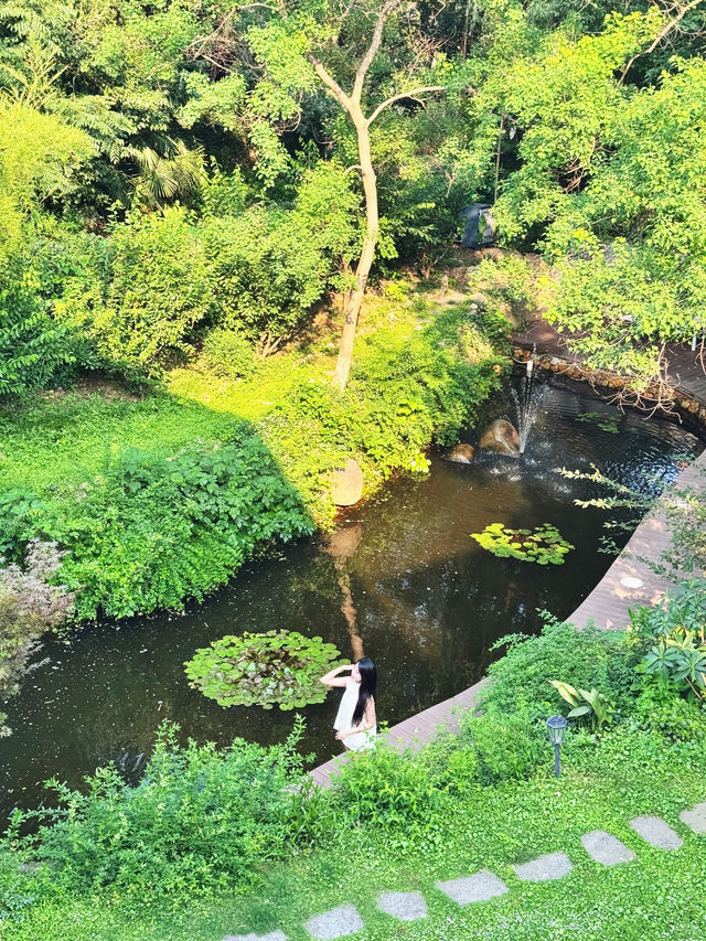 初夏誤入莫奈花園 江浙滬最美湖畔花園溯溪