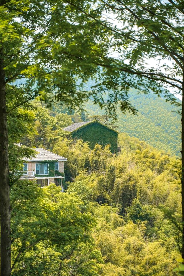 「參差樓閣起高崗，半為煙遮半樹藏。