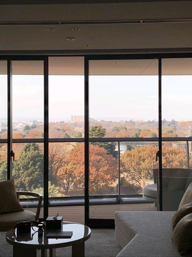 東京立川限定浪漫！Sorano Hotel無邊泳池，把昭和紀念公園的秋意泡進水裡