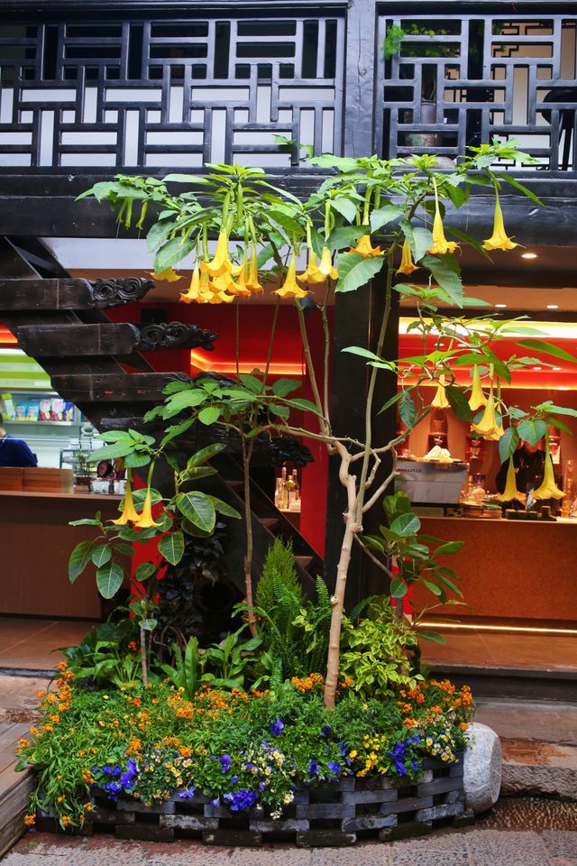 麗江古城｜住進心宿·安雲古院， 影屋頂咖啡