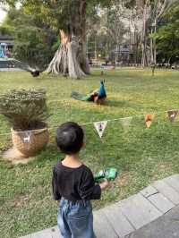西雙版納之旅返嚟啦，暑假帶小朋友去嘅真係要諗清楚啊！