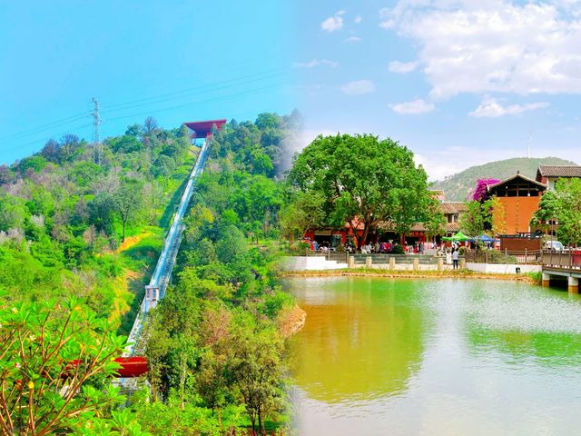 攀枝花旅遊攻略