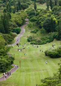 廈門週末狂歡攻略！住錦江之星，逛遍寶藏公園