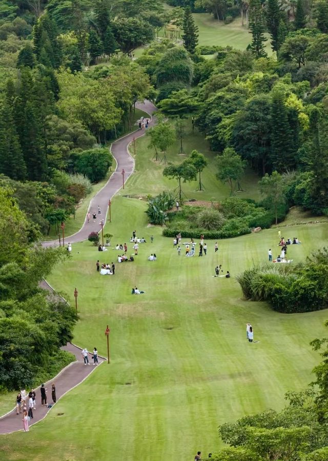 廈門週末狂歡攻略！住錦江之星，逛遍寶藏公園