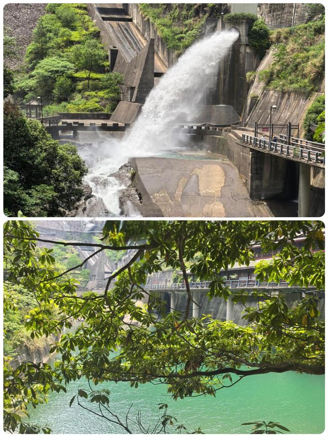 浙江小眾秘境！夏天20℃嘅「地下仙境」畀我搵到啦