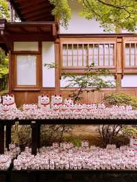 東京の幸運を呼ぶ猫寺「豪徳寺」の魅力】**  