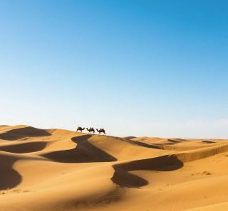 Desert Disneyland × The Secret History of Genghis Khan Mausoleum - A Wild Celebration at Xiangshawan!