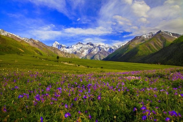 夏塔旅遊攻略 | 赴一場雪山之約