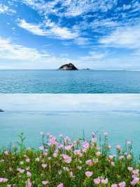 在上海周邊挖到寶！枸杞島夏日玩水超開心～