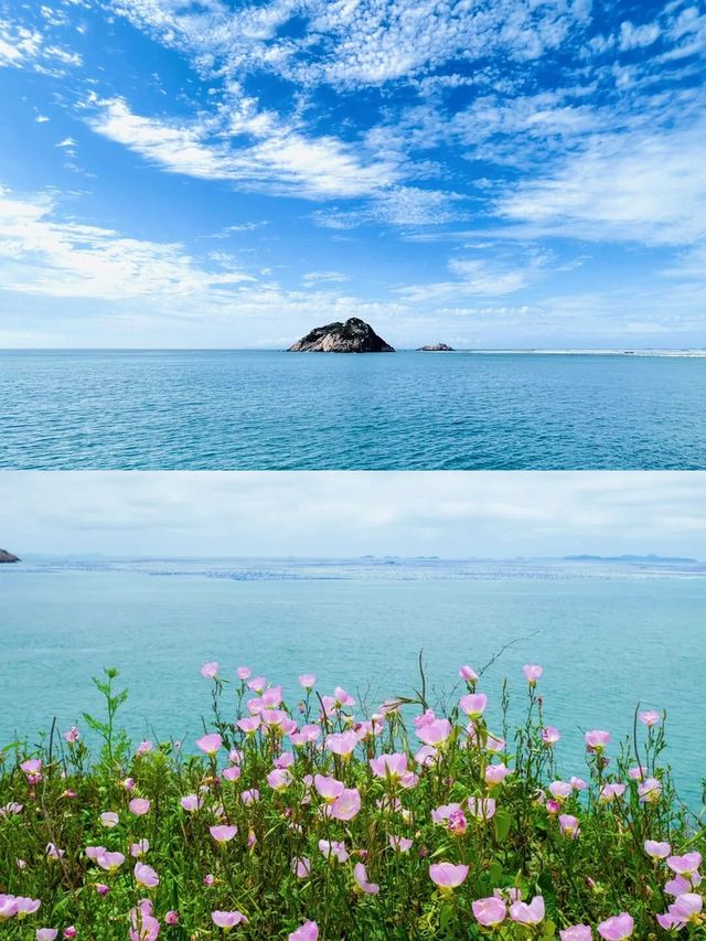 在上海周邊挖到寶！枸杞島夏日玩水超開心～