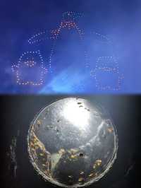 珠海長隆海洋王國暑假一日遊