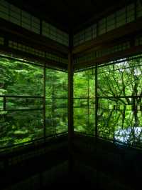 京都 | 有一種綠叫做「京都綠」