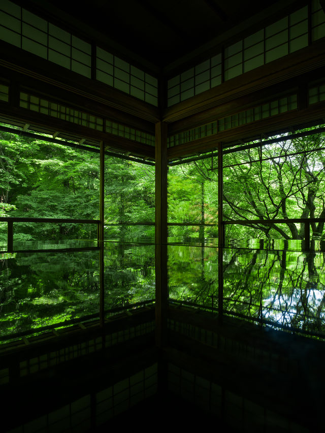 京都 | 有一種綠叫做「京都綠」