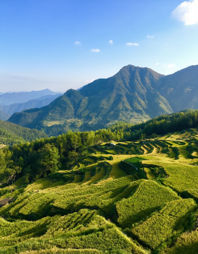 雲和梯田：雲端上的千層天梯 