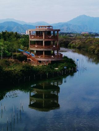 Shanwei hides a low-key wetland and is also the hometown of waterbirds