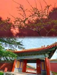 去完故宮唔嚟呢度，真係蝕底咗