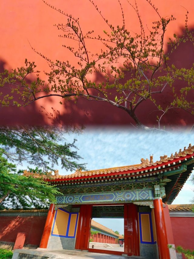 去完故宮唔嚟呢度，真係蝕底咗