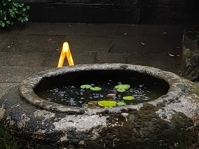 閬中花間堂·閬苑｜帶娃住進百年院落，解鎖非遺手作的治癒時光