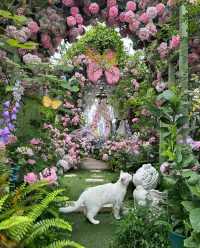 夏日系治癒花園！！