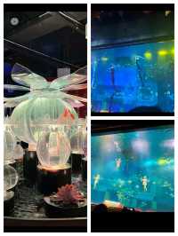 廣州海洋館一日遊攻略｜潛水戲魚表演太驚艷了