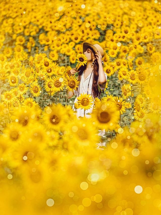 夏日浪漫目的地合集 夏日浪漫目的地合集