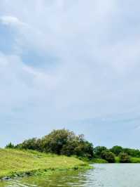蘭陽平原上的田園詩——冬山河生態綠舟農場