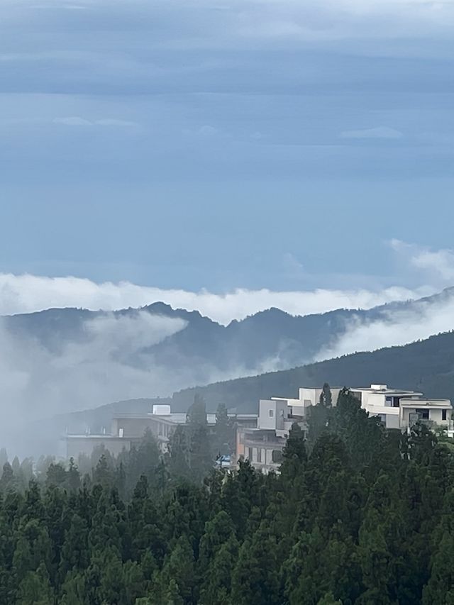 瀘州周邊遊2h｜現實版暮光森林