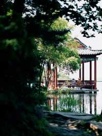 淄博小「神農架」 瀑布+雲海