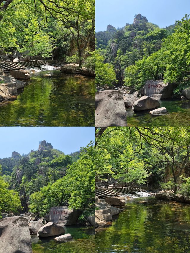 青島嘅後花園,山海仙境嶗山嚟喇!✨
呢座「海上名山第一」唔單止係個天然氧吧🌲,更融合咗道教文化、佛教 青島嘅後花園,山海仙境嶗山嚟喇!✨
呢座「海上名山第一」唔單止係個天然氧吧🌲,更融合咗道教文化、佛教